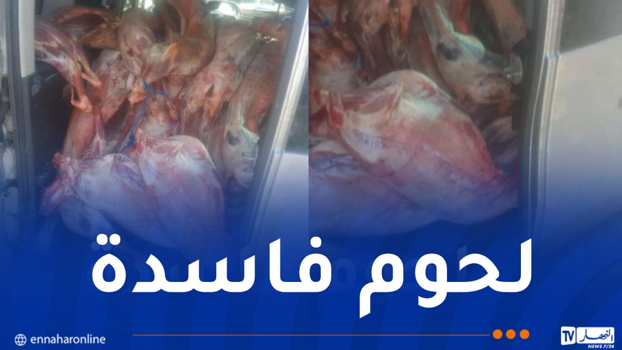 إتلاف 40 هيكلا من الكباش الفاسدة ببومرداس