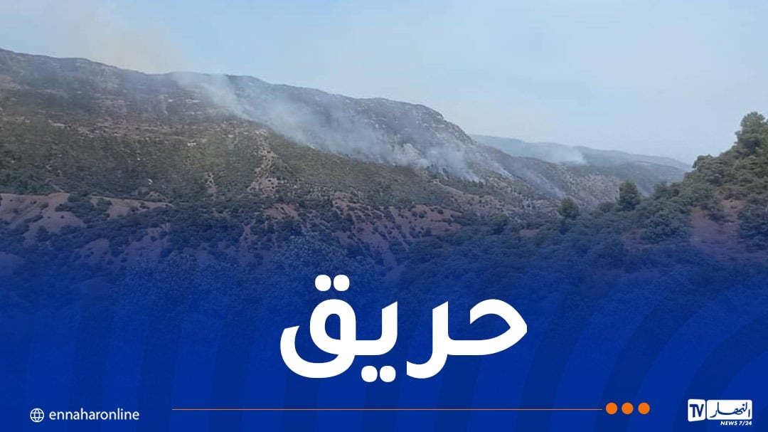حريق الحظيرة الوطنية للشريعة ينتشر لحدود المدية