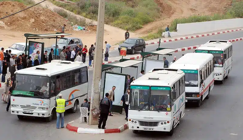 السعيد سعيود: تجديد حظيرة النقل والسماح باستيراد حافلات أقل من خمس سنوات كحلّ مؤقت