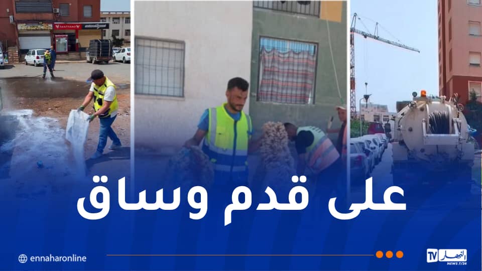 عدل.. أعوان جاست ايمو بلا هوادة