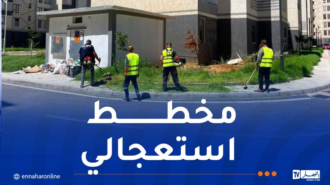 عدل تستعد لعيد الأضحى
