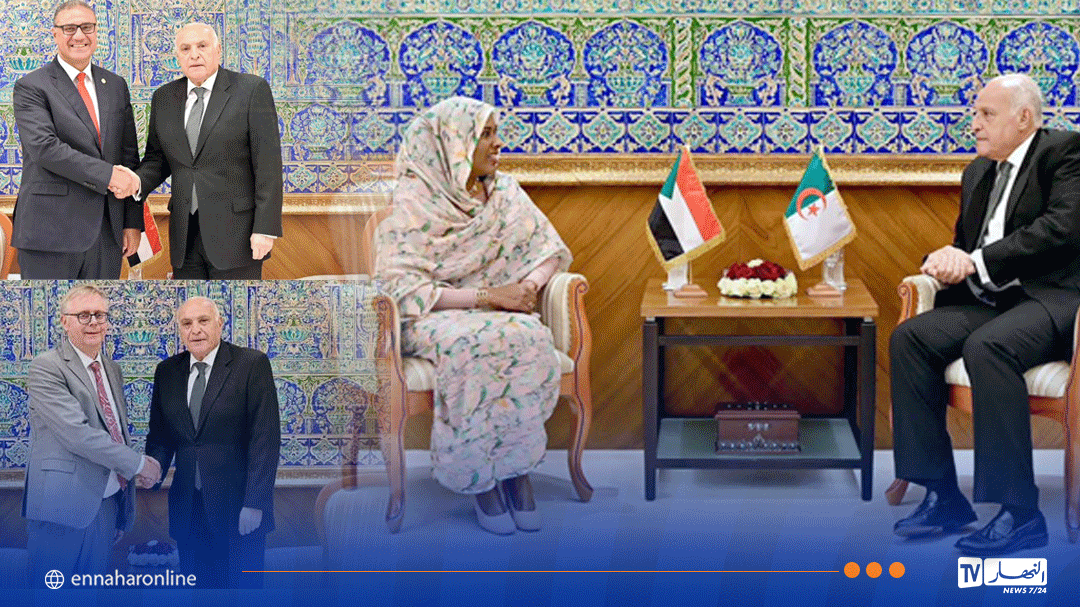 زيارات وداعية لسفراء السودان ومصر والسويد إلى وزير الخارجية