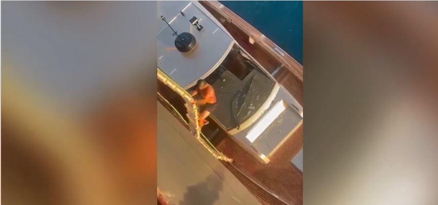 طاقم ناقلة سوناطراك “بارڨة 2” ينقذ رعية فرنسي قبالة السواحل الإيطالية