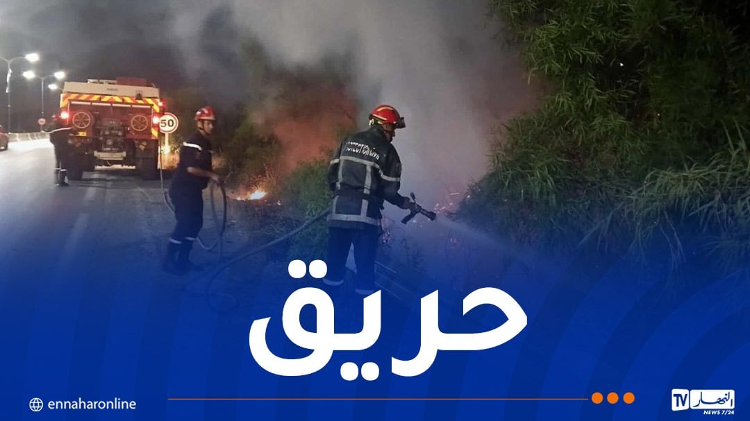 إندلاع حريق في ولاية جيجل