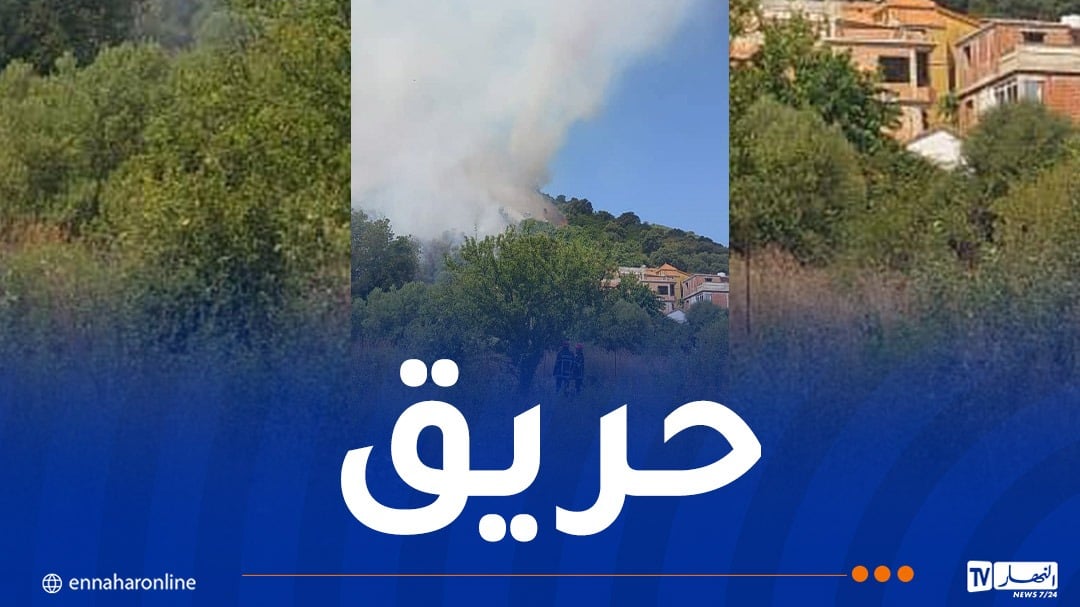 سكيكدة.. اندلاع حريق غابة بمنطقة بوزيتونة