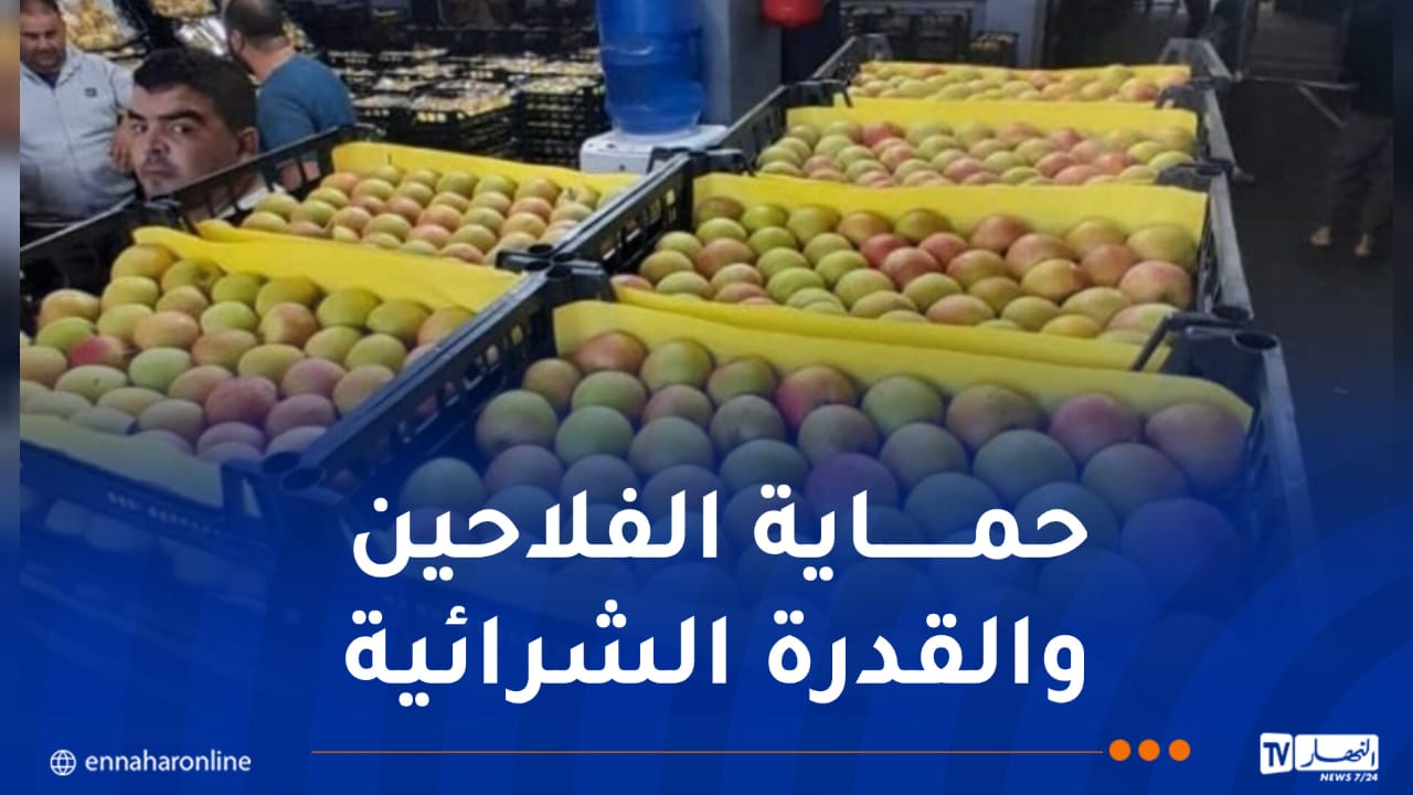 فضاءات مجانية لمنتجي التفاح لإحباط مخططات المضاربين