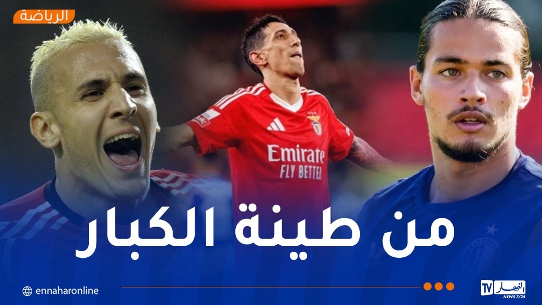 يبدة يشيد بحاج موسى ويقترحه خليفةً لـ ديماريا في بنفيكا