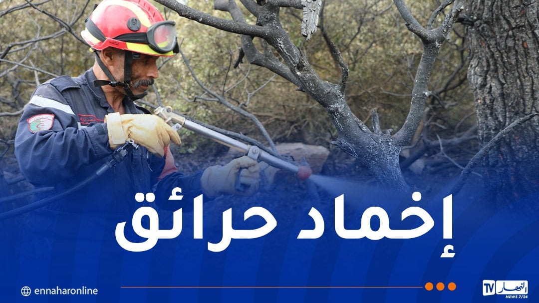 إخماد حرائق غابات عبر 5 ولايات