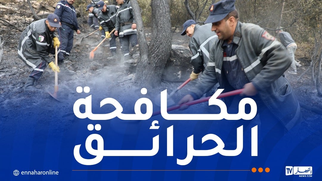 إخماد حرائق غابات عبر 9 ولايات