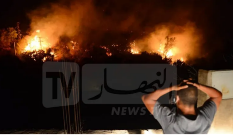حرائق الغابات.. وزارة الداخلية تحذّر المواطنين