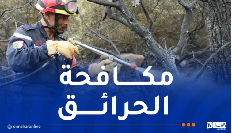 إخماد عدة حرائق عبر هذه ولايات