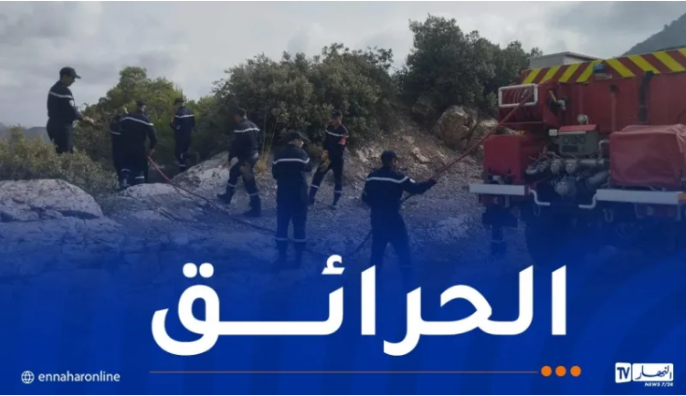 الحماية المدنية: إخماد حرائق عبر 3 ولايات