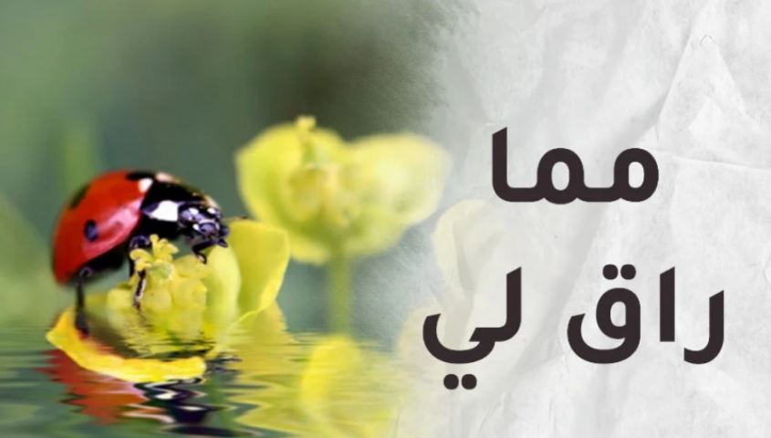 مما راق لي.. الله يحبك دائما