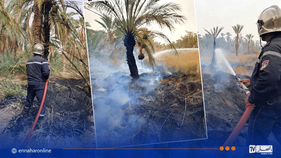 المغير .. الحماية المدنية تتجند لاخماد حريقين بغابات النخيل
