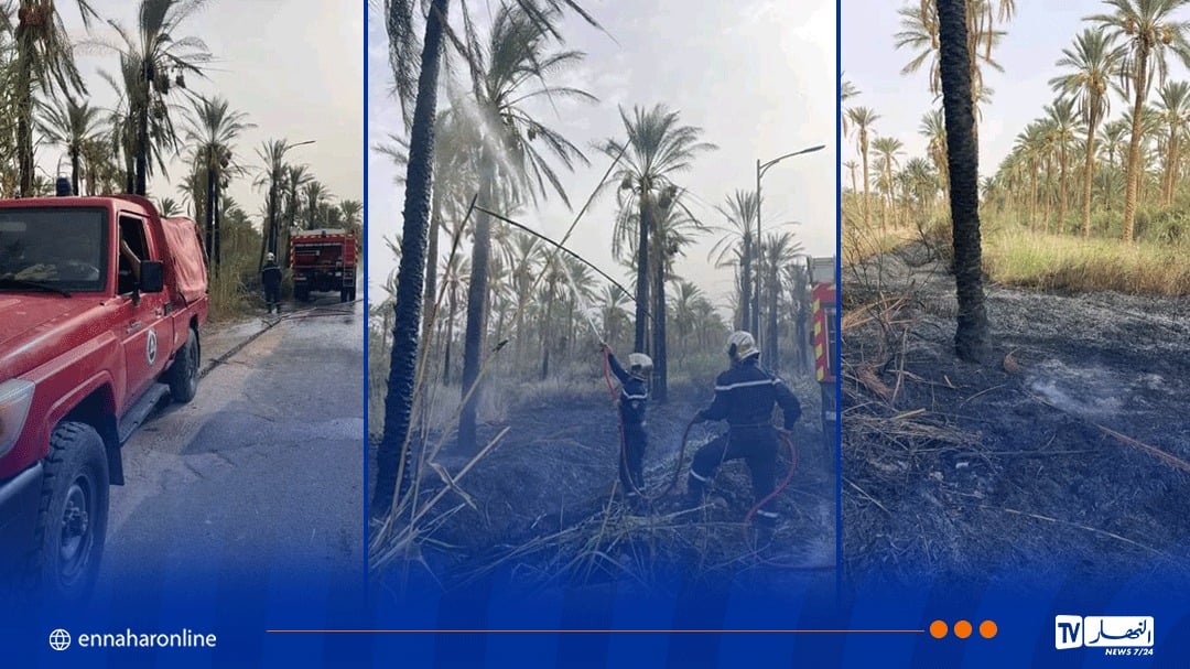 المغير .. إحتراق 29 نخلة مثمرة وحوالي هكتار حشائش بدندوقة
