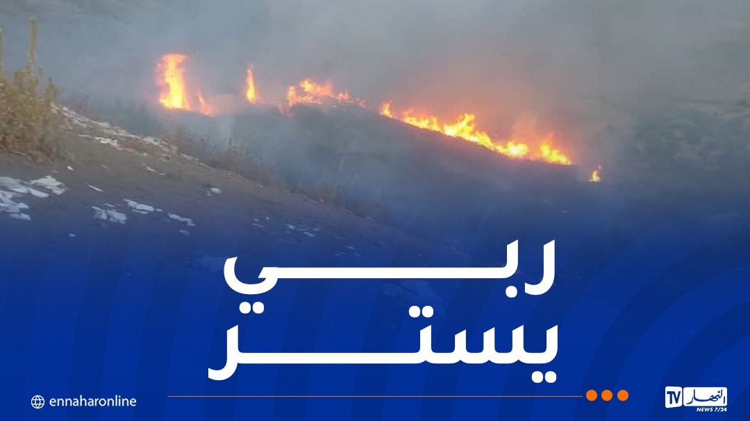 إندلاع حريق بمنطقة بن سعدة في البليدة