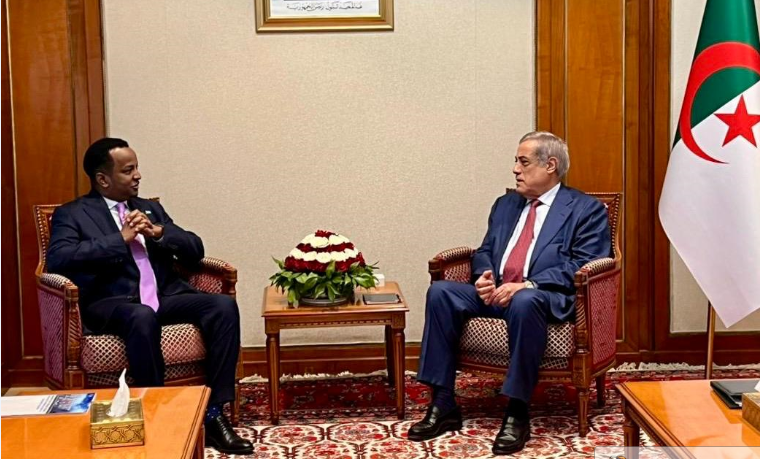 إرادة قوية لترقية العلاقات.. الوزير الأول يستقبل وزير الخارجية الصومالي