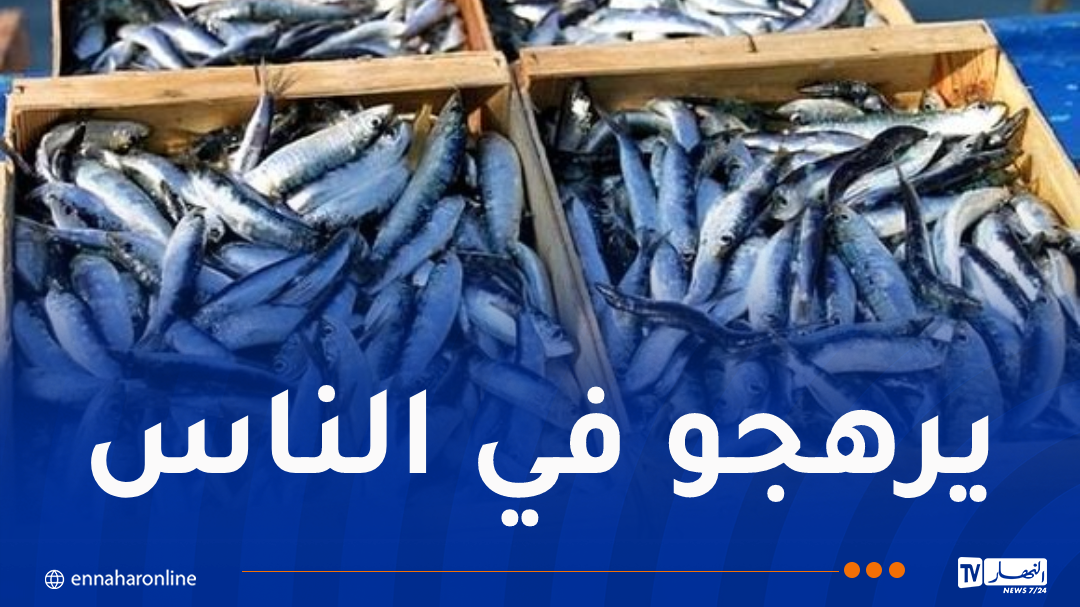 غليزان.. حجز مايقارب 10 قناطير من السمك الفاسد