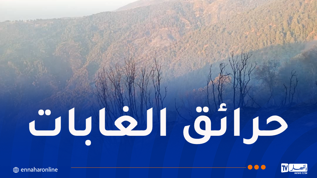 إندلاع حرائق في غابات البليدة وتيبازة اليوم