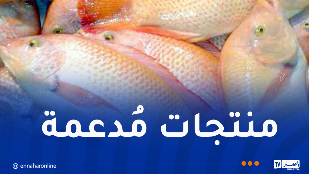 وزير الفلاحة: توفير كل التسهيلات للراغبين في الاستثمار بتربية المائيات البحرية