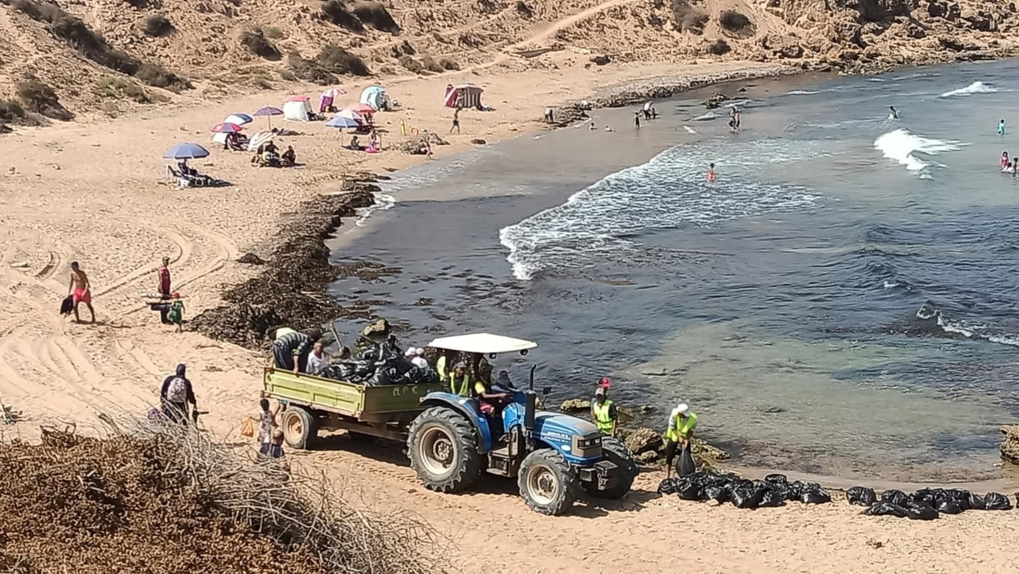 بعد غزو الطحالب البحرية..تواصل حملة تنظيف الشواطئ عبر 14 ولاية