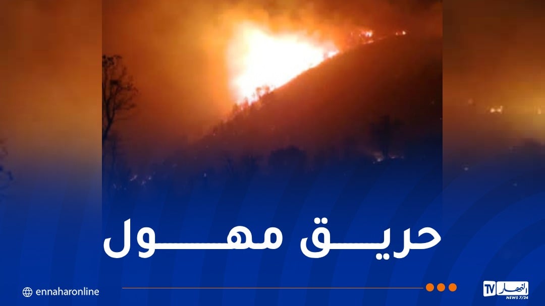 تخصيص 3 طائرات.. اندلاع حريق كبير في غابات بجاية