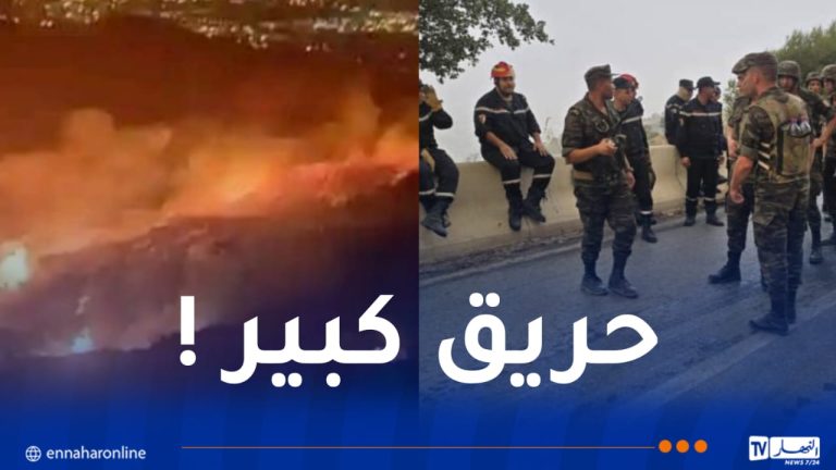 حريق مهول يلتهم جبال الشريعة في البليدة