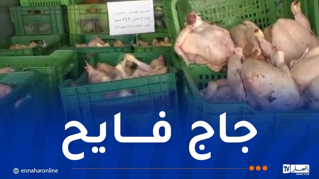 العاصمة: حجز 13.5 قنطار من الدجاج الفاسد موجهة للإستهلاك البشري