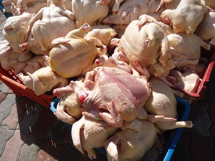 بجاية: حجز قرابة 5 قنطار من اللحوم البيضاء الفاسدة