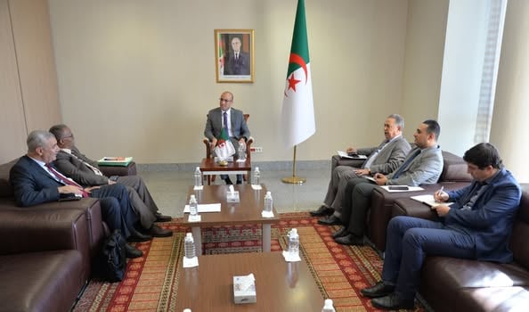 في لقاء مع نواب الجالية.. شايب يؤكد التزام الدولة برعاية الجزائريين في الخارج