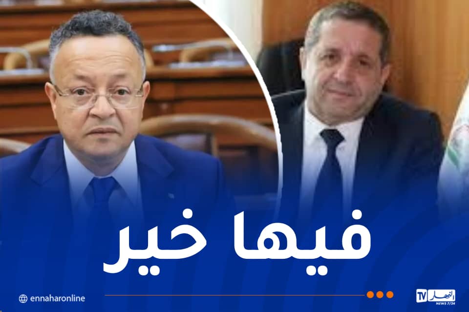 الحجم الساعي الأسبوعي للأستاذ الباحث.. عمارنة يعقد اجتماعا مهما بوزارة التعليم العالي