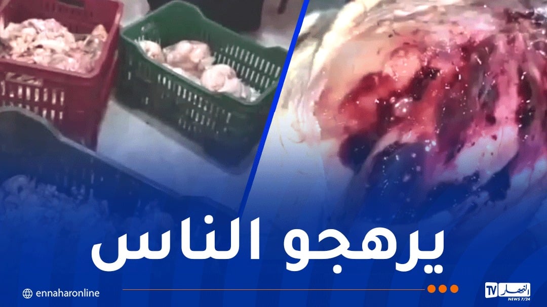 أم البواقي: إيداع شخص الحبس وحجز أكثر من 8 قناطير من اللحوم غير صالحة