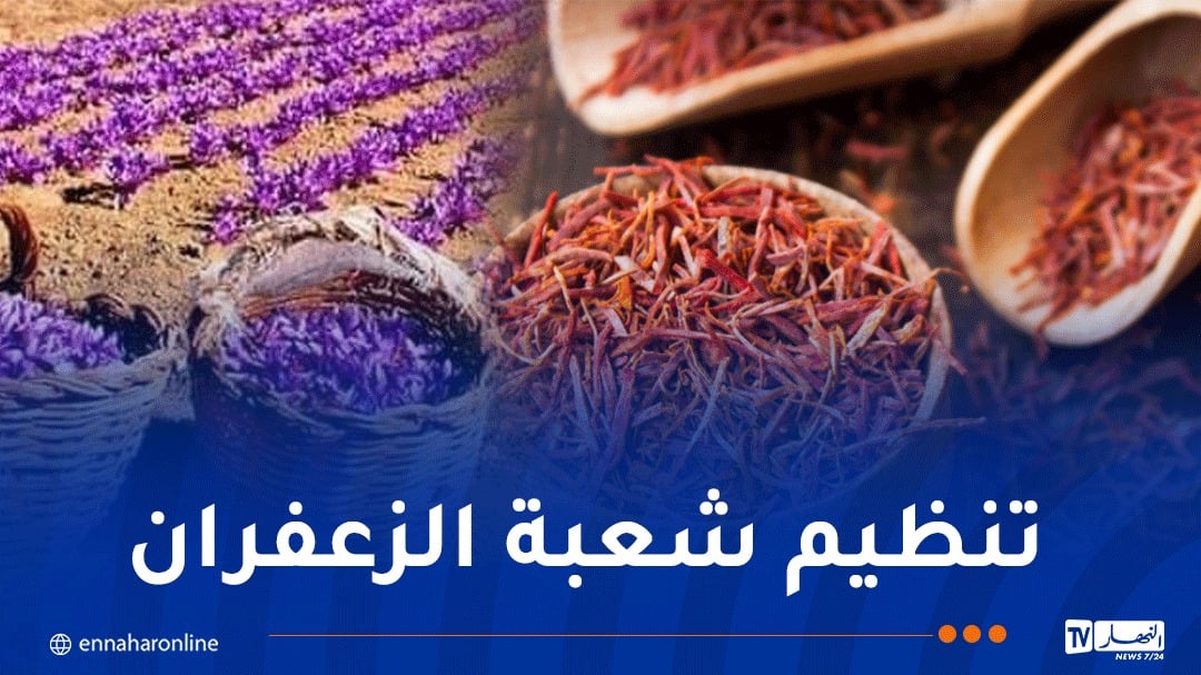 إطلاق الإستراتيجية الوطنية لتطوير زراعة الزعفران وتعميمها بالجزائر