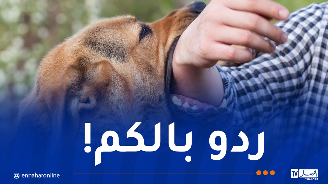 أم البواقي: تشكيل خلية متابعة بعد اكتشاف حالات للإصابة بداء الكلب