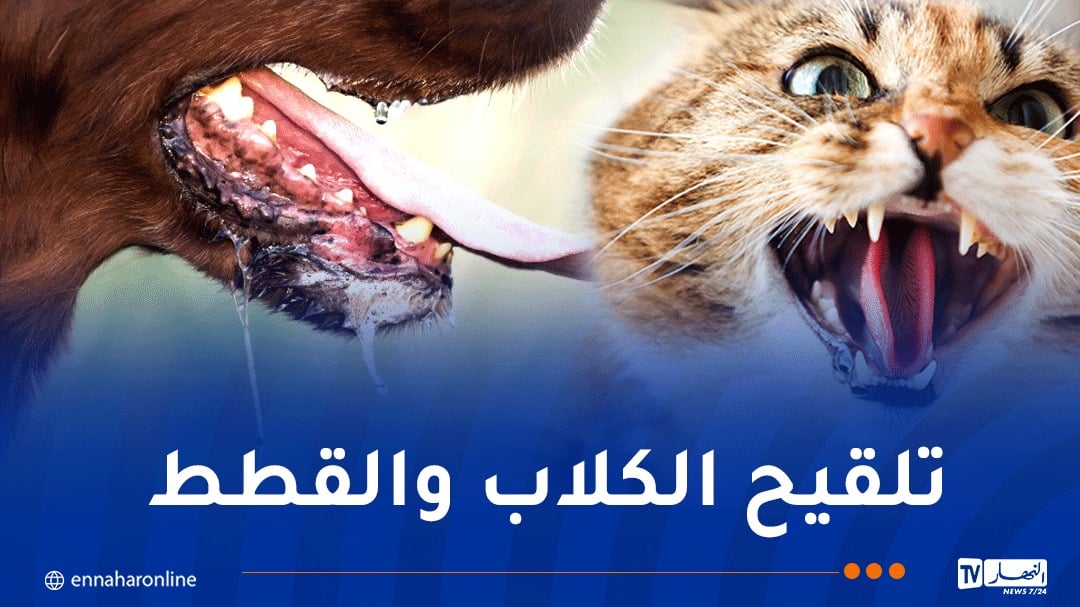حملة تلقيح مجانية ضد داء الكلب