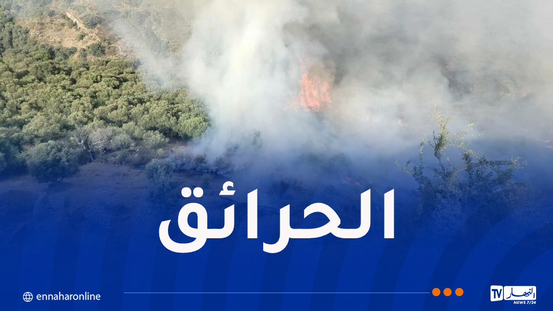 إندلاع 5 حرائق في جيجل