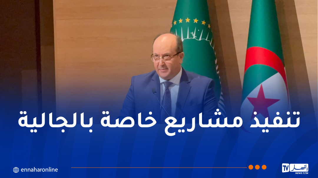الوزير الأول بالنيابة يُؤكد على أهمية مساهمة الجاليات الإفريقية في تنمية القارة