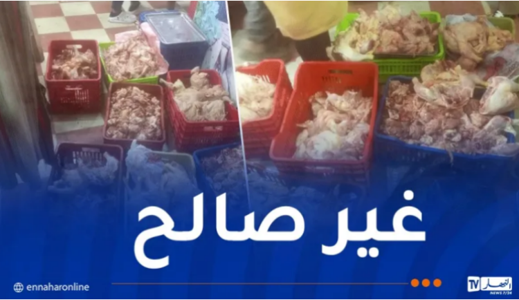 حجز 14 قنطاراً من الدجاج غير صالح للاستهلاك
