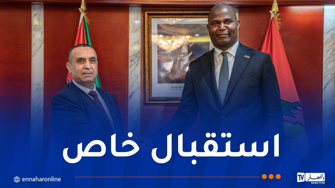 عجال يُستقبل من قبل رئيس الموزمبيق ويُبلّغه تحيات الرئيس تبون
