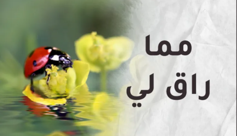 مما راق لي.. تأمل في البداية الحقيقية لك