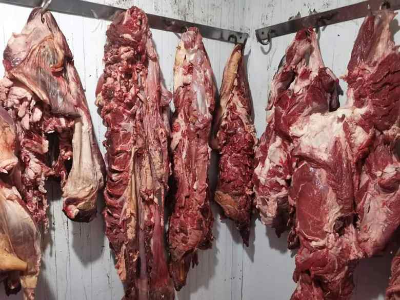 المدية: حجز أزيد من 980 قنطار لحوم مستوردة غير صالحة للاستهلاك البشري