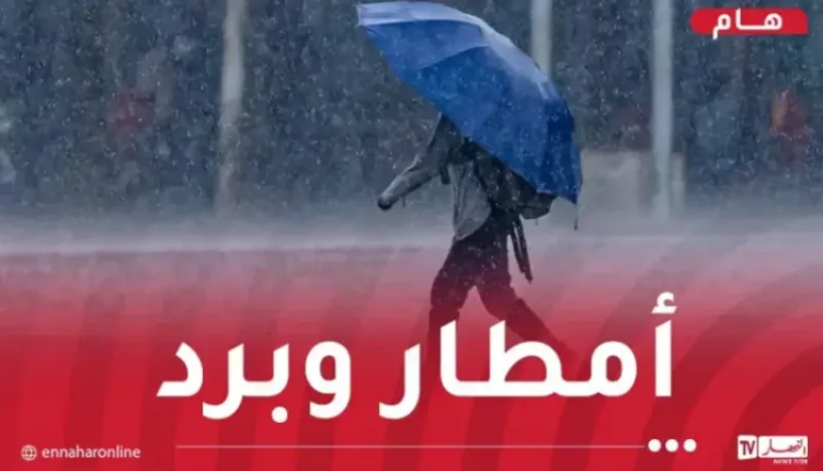 تتعدى 40 ملم.. أمطار رعدية مرفوقة ببرد عبر هذه الولايات