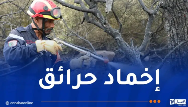 مستجدات حرائق الغابات