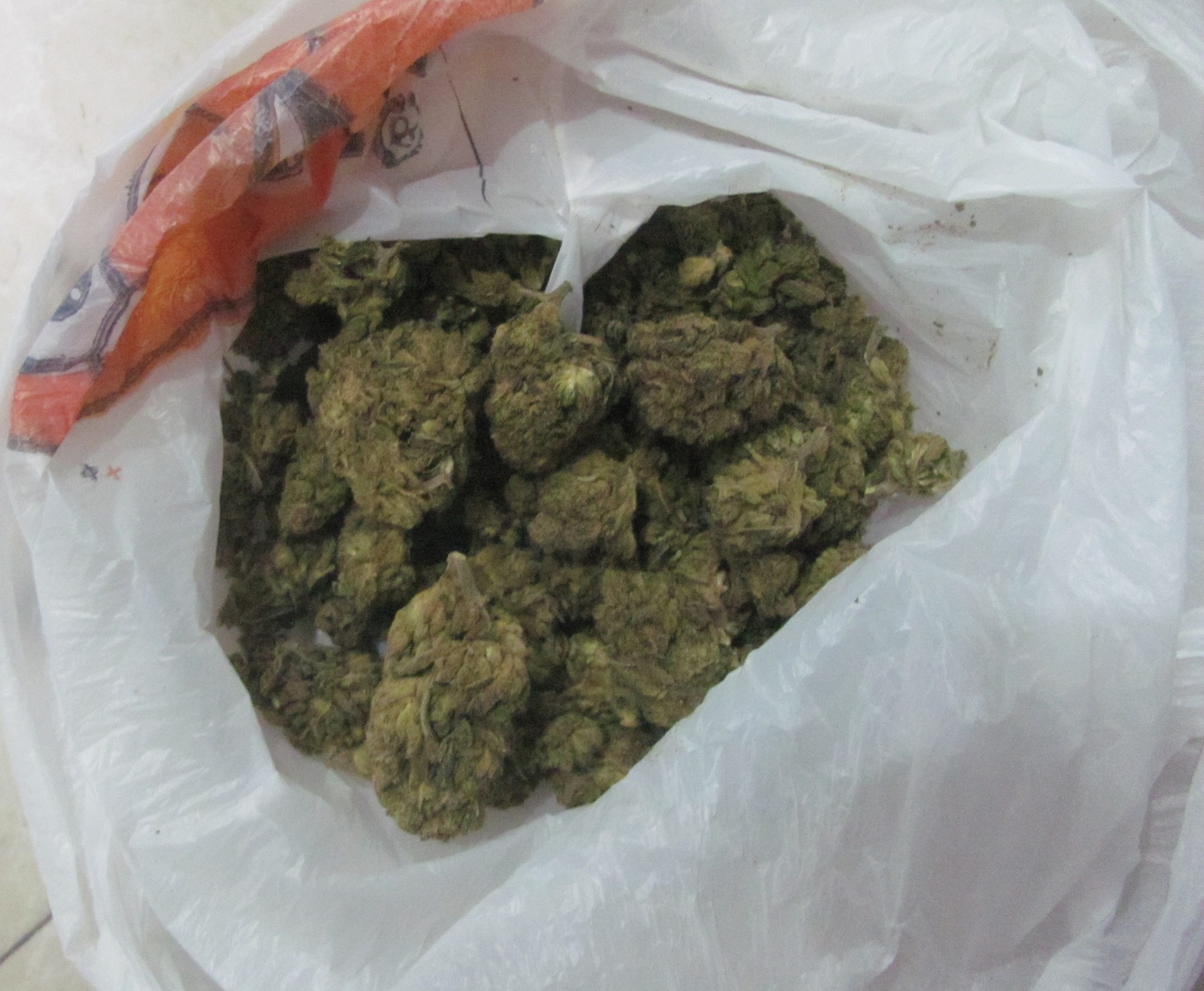 الجزائر – شرطة باتنة تحبط مخططا لشبكة إجرامية عابرة للحدود وتكشف خيوط تجارة المخدرات بالعملات الرقمية