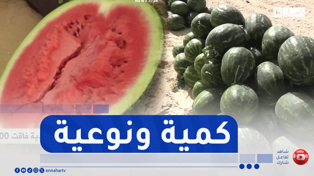 الوادي: بمردودية فاقت 600 قنطار في الهكتار..بطيخ مقرن يقتحم الأسواق الخارجية