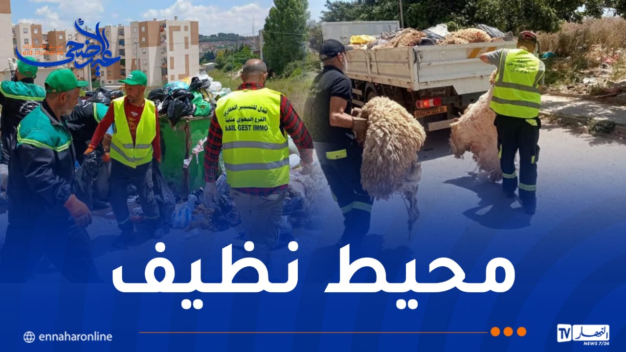 لضمان نظافة أحياء عدل في عيد الأضحى..جاست ايمو بروح من المسؤولية