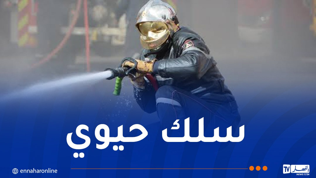 الحماية المدنية..توظيف 3000 عون جديد في 2026