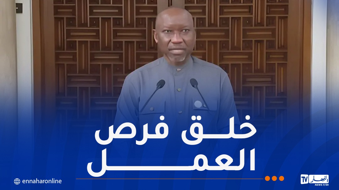 وزير الموارد البترولية النيجيري: أنبوب الغاز العابر للصحراء مهم للقارة الإفريقية بأكملها