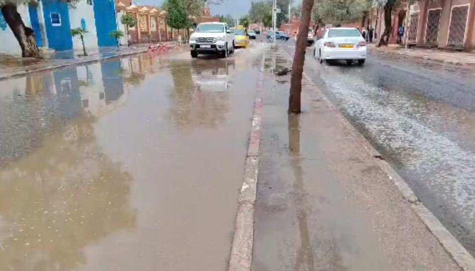 صورة الخبر