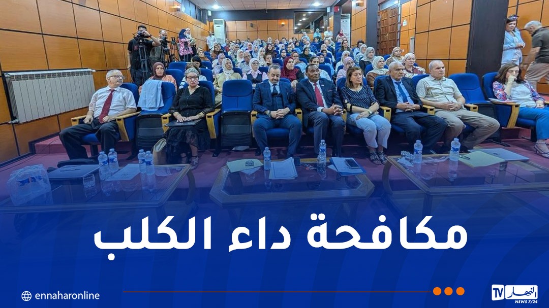 صورة الخبر